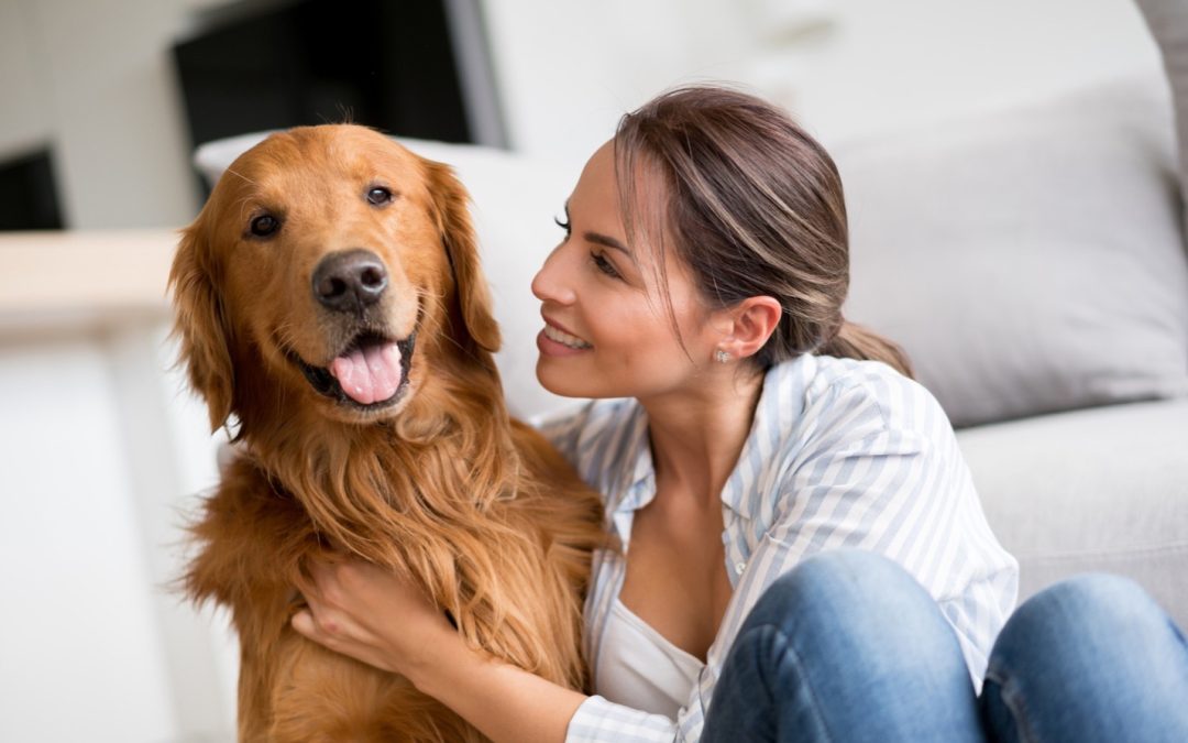 In a Divorce, Who Gets the Dog?