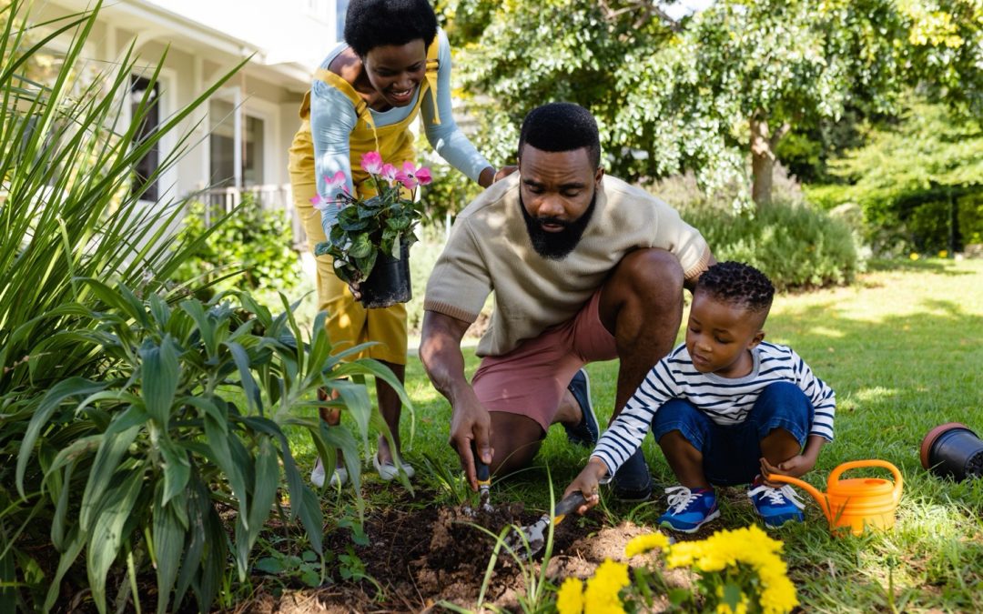 What Does A Family Lawyer Do?